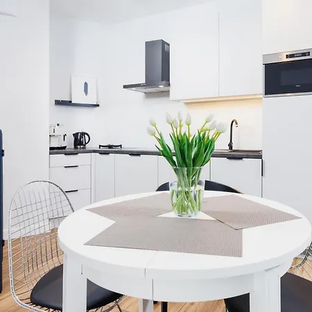 3d Wilga By Renters *