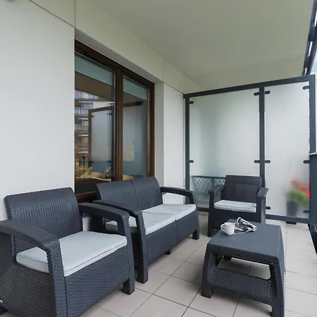 3d Wilga By Renters