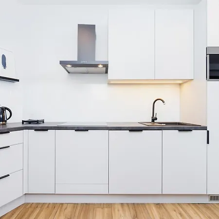 3d Wilga By Renters *